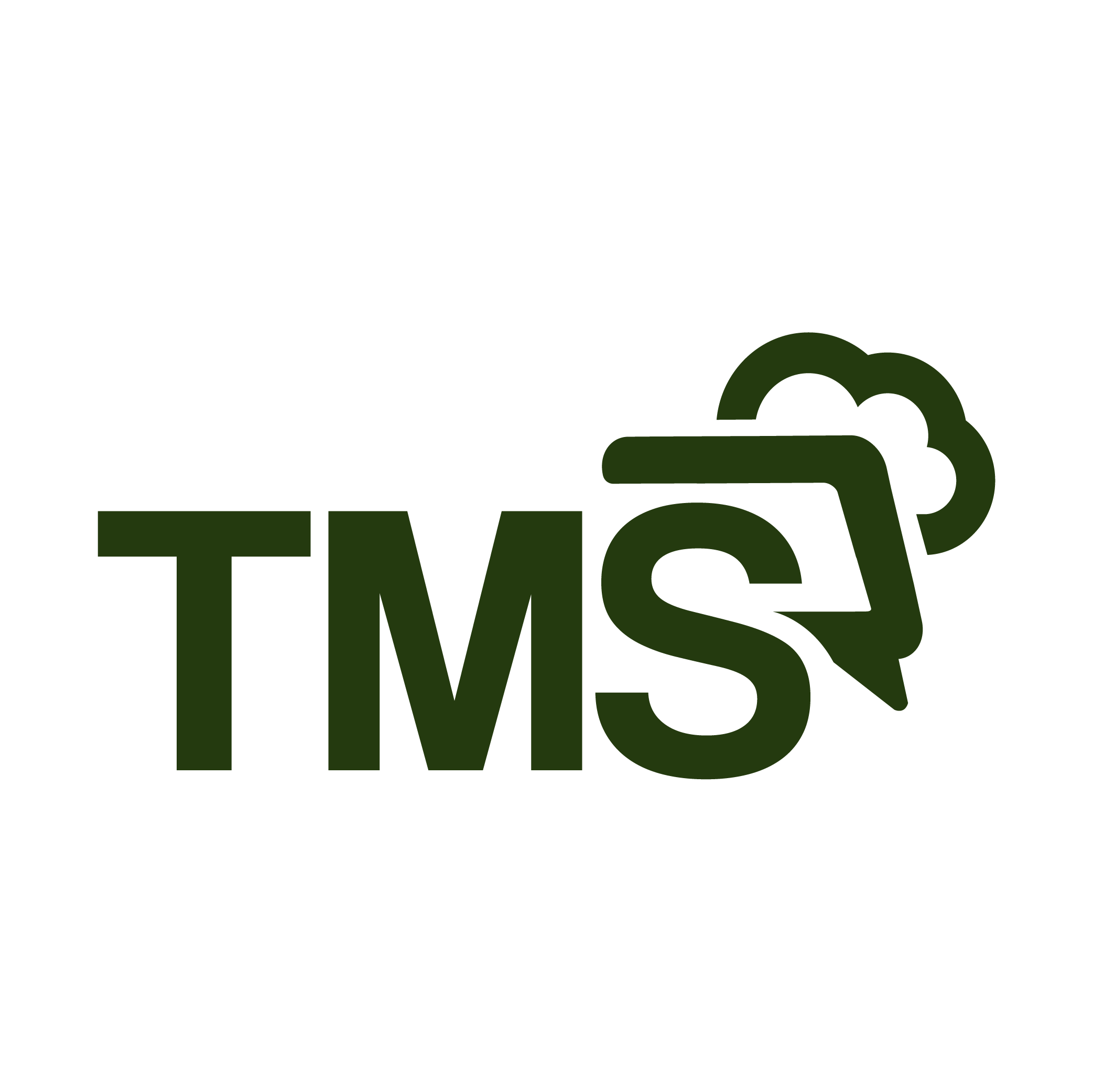 Think Management Solutions